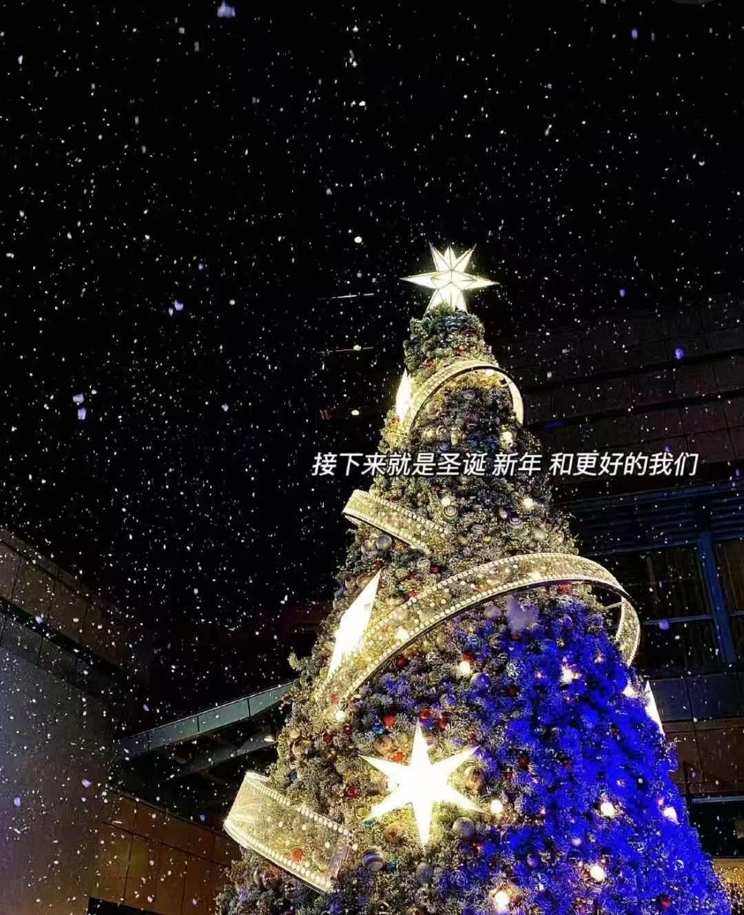 0F92A597-8F7C-47C4-B478-E54CC6FD18F6.jpeg