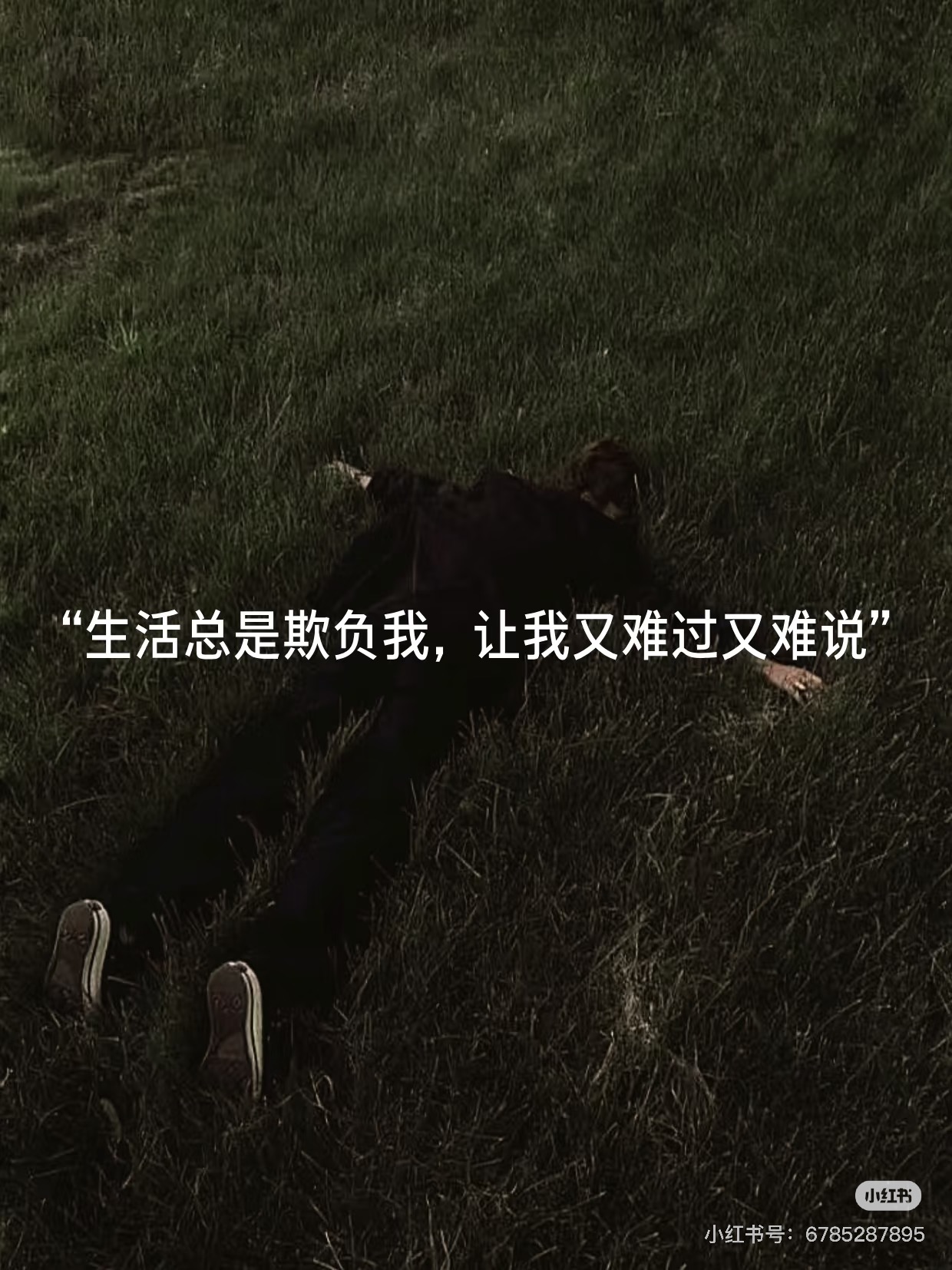 AFB75F4A-4B52-4E0A-AEFC-60BAF8B349A6.jpeg